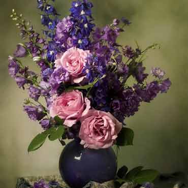 免费ddos攻击网页端